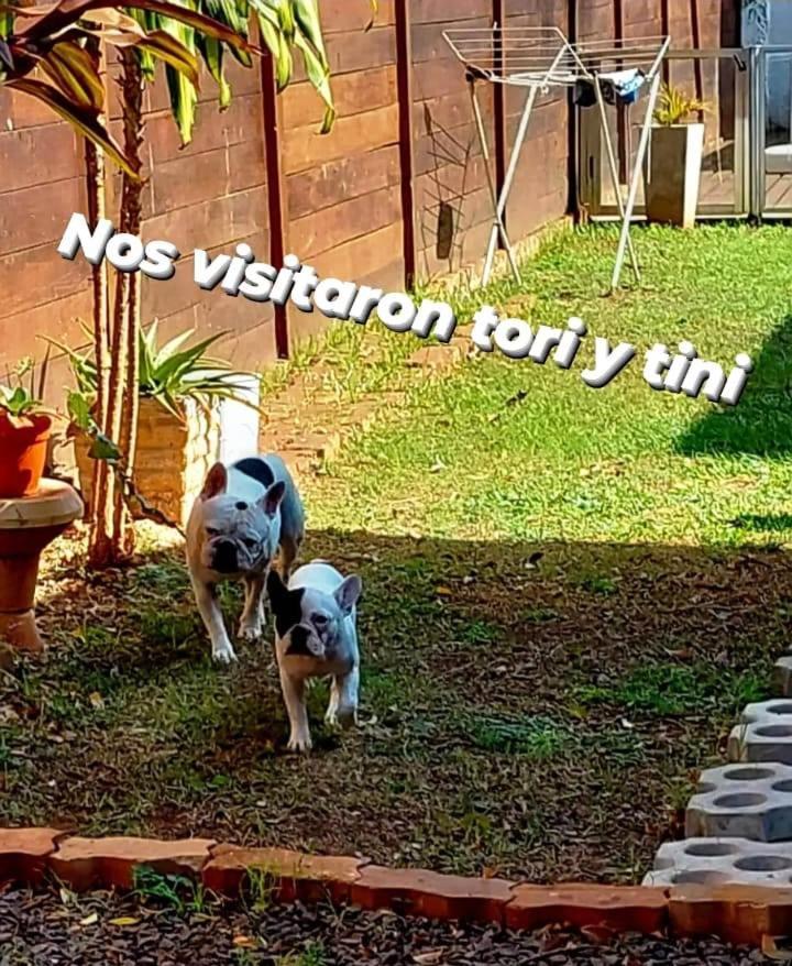 Ferienwohnung Cabana Hospedaje Y Alojamiento "Jano" -Alquiler Temporario- Posadas Exterior foto
